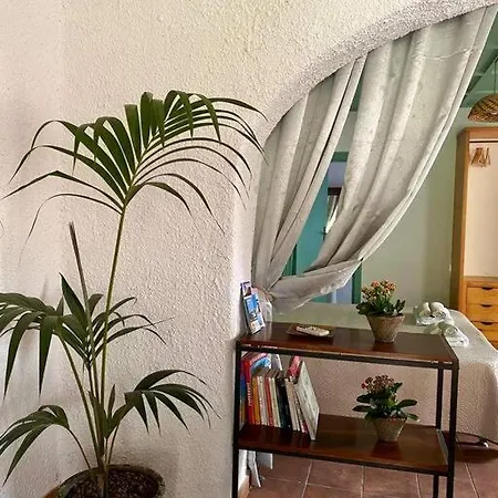 Casamoltocarina Garden *
